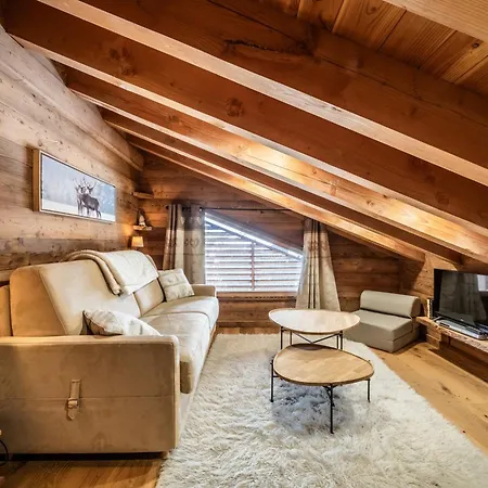 Superbe Duplex- Alpine Araches-la-Frasse