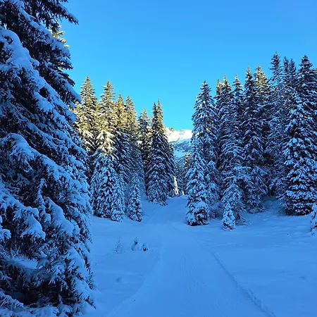 Superbe Duplex- Alpine Araches-la-Frasse