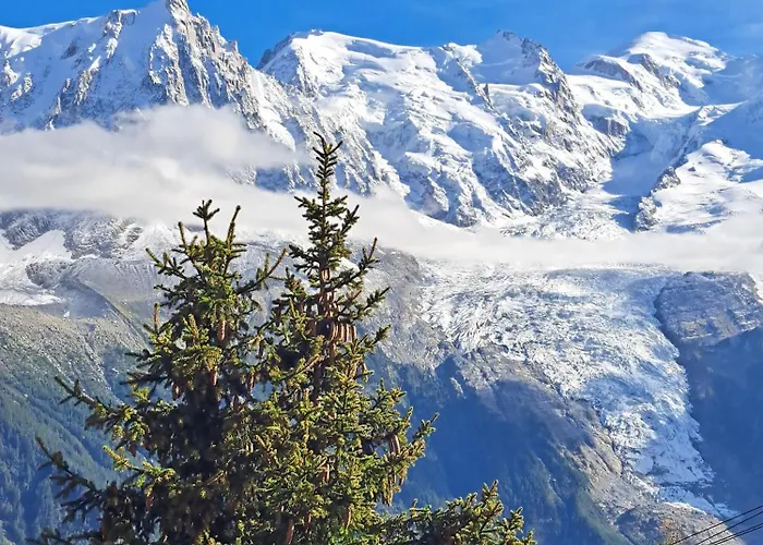 Superbe Duplex- Alpine Daire Arâches
