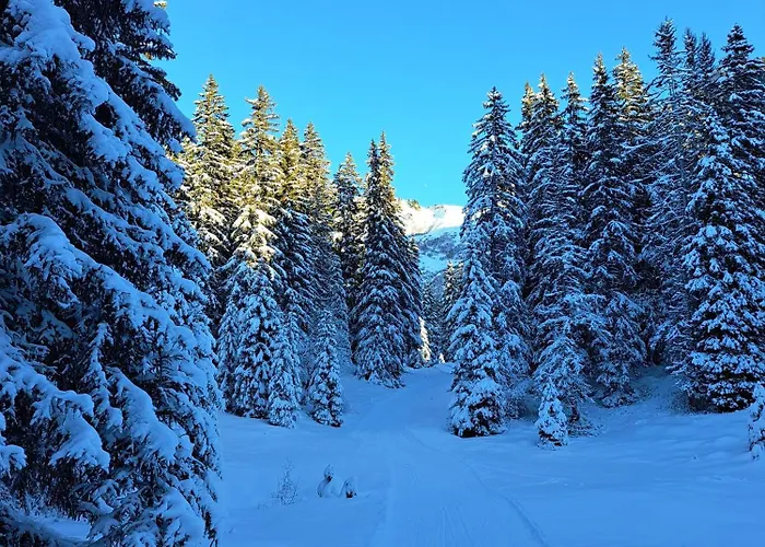 Daire Superbe Duplex- Alpine *
