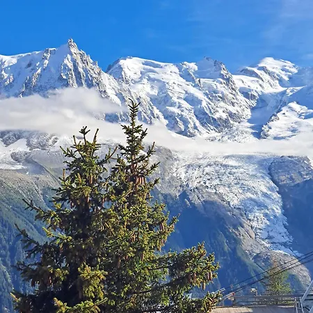 Superbe Duplex- Alpine Apartment Arâches